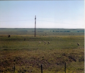 Montana1998  001